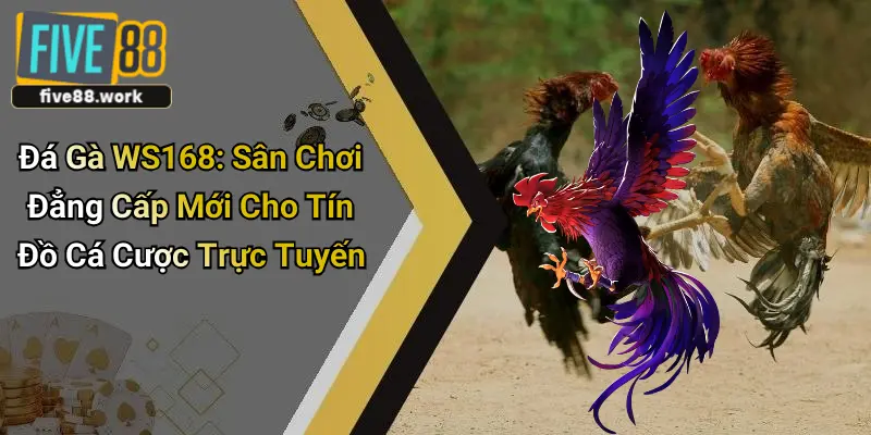 Đá Gà WS168: Sân Chơi Đẳng Cấp Mới Cho Tín Đồ Cá Cược Trực Tuyến